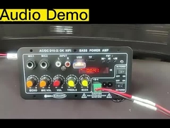 Junta de amplificadores D10-II para 4 Ohm 40W altavoz 110V 220V 12V 24V módulo de audio de subwoofer