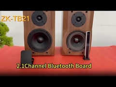 CA-TB21 2.1 Canal BT Subwoofer Amplificador de la placa de audio 2 * 50W + 100W 12-24V AMP