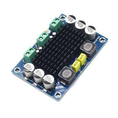 CA-3116D Tabla de amplificador de audio mono original de 100W con chip TPA3116D2 y entrada de 12-24V