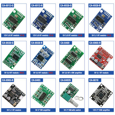 1 canal 12V DC salida digital BT módulo de audio panel amplificador de altavoces