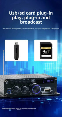 Amplificador de potencia de doble canal de 120W con ecualizador para audio estéreo HiFi