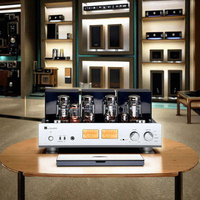 Amplificador de audio de tubo HIFI para el hogar A-Level 25W+25W, salida de alta potencia, receptores de auriculares integrados, amplificadores de altavoces de clase